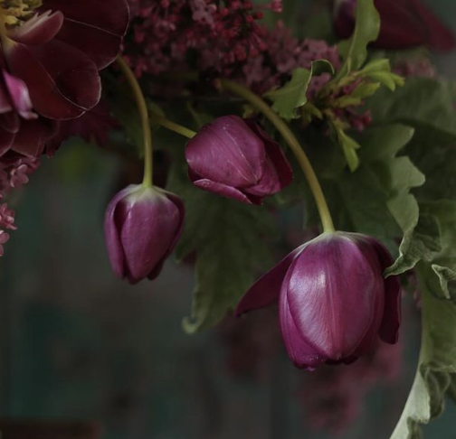 Screenshot 2026-01-25 at 5.33.46 PM.png