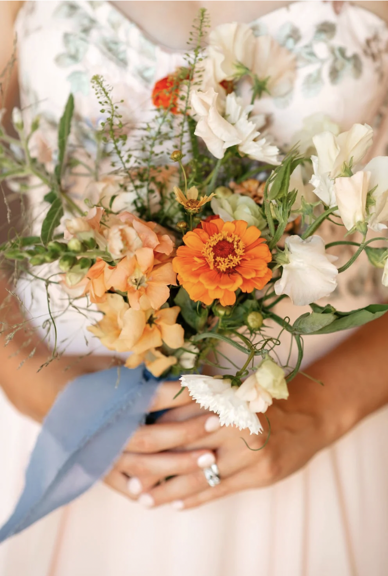 Screen Shot 2026-01-02 at 11.19.58 AM.png