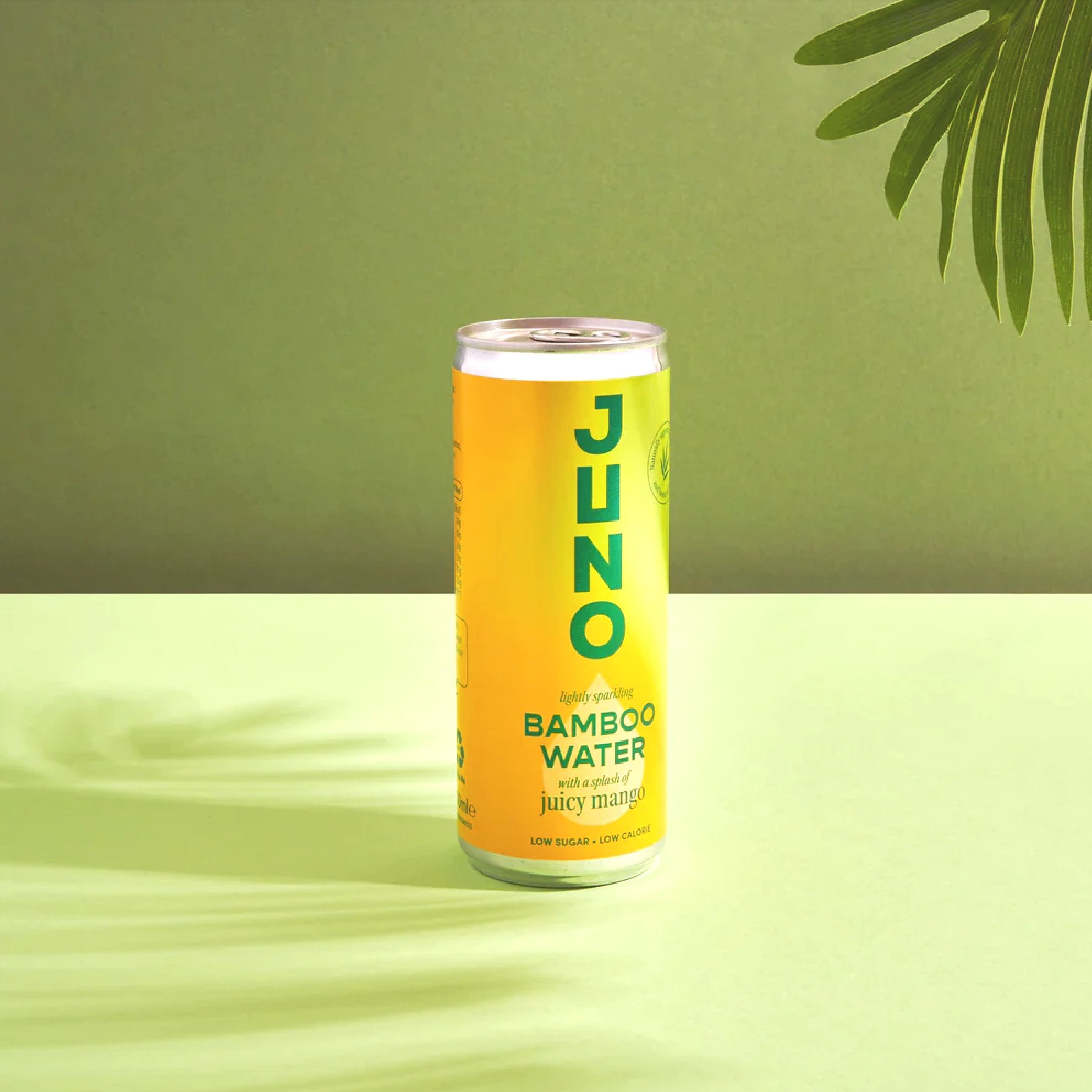 Packaging-designer-Drink packaging design - Juno bamboo water