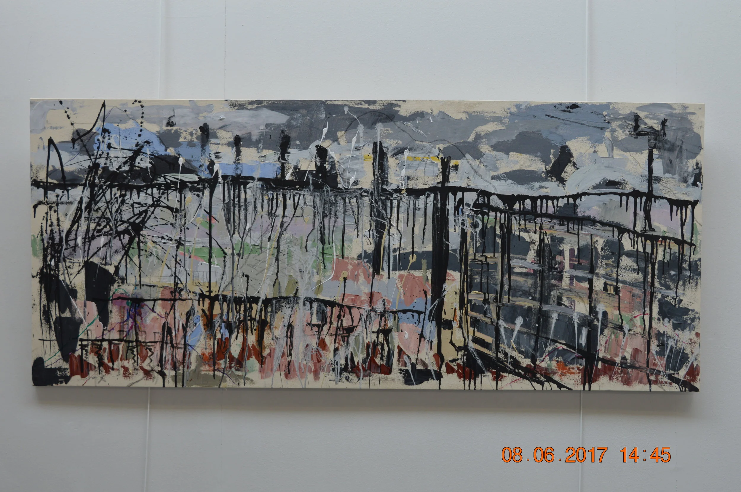DSC_1849.JPG