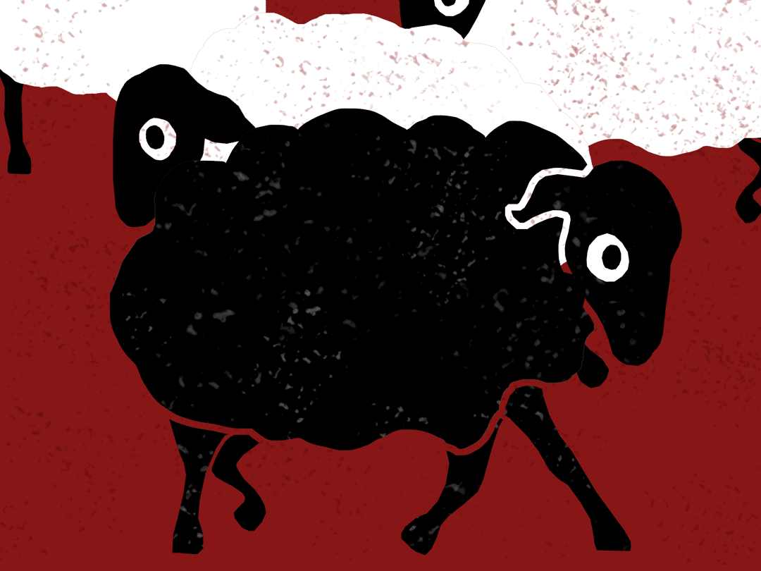 sheep-for-class.gif