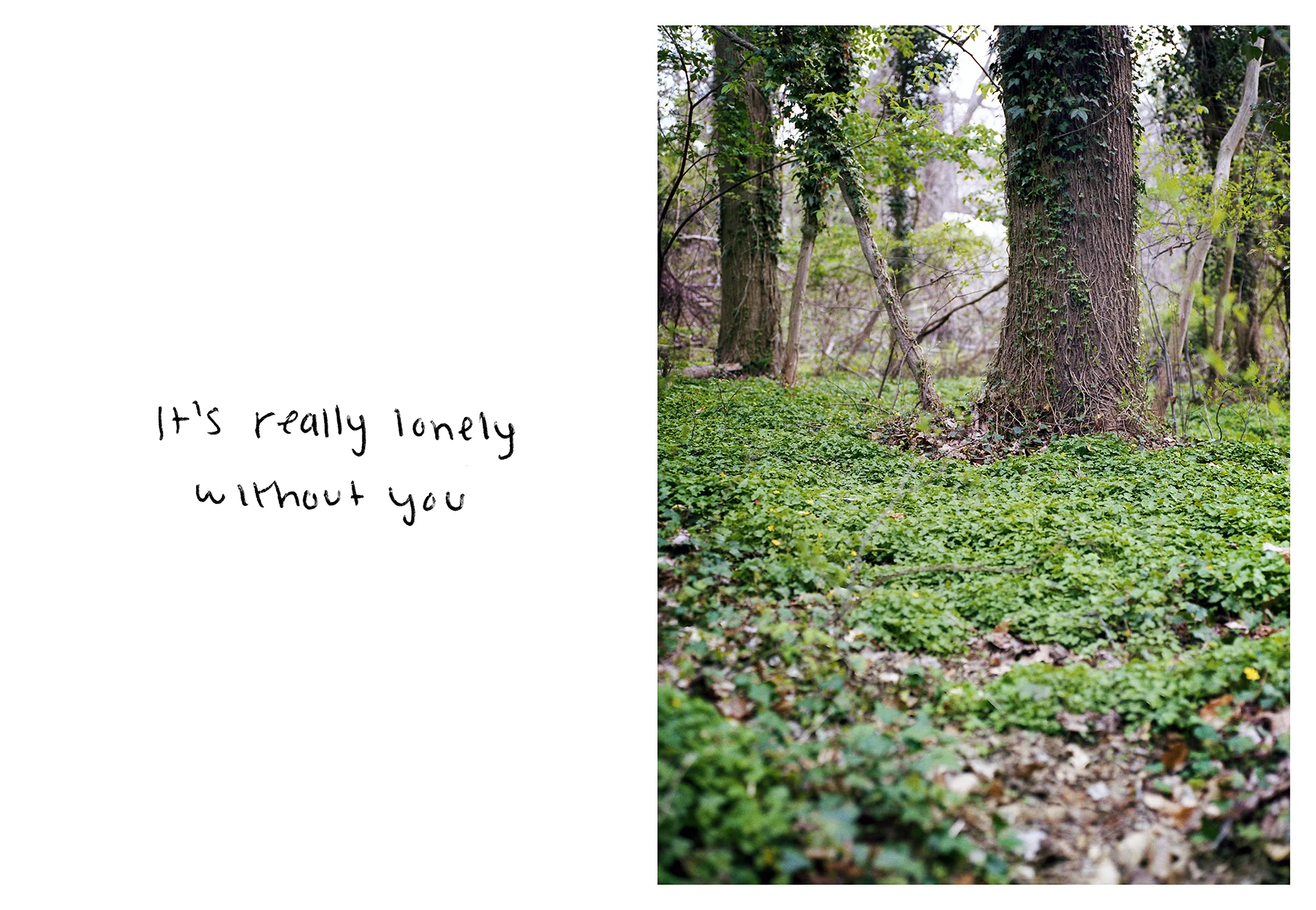 Archival inkjet print 36" x 52" 2014