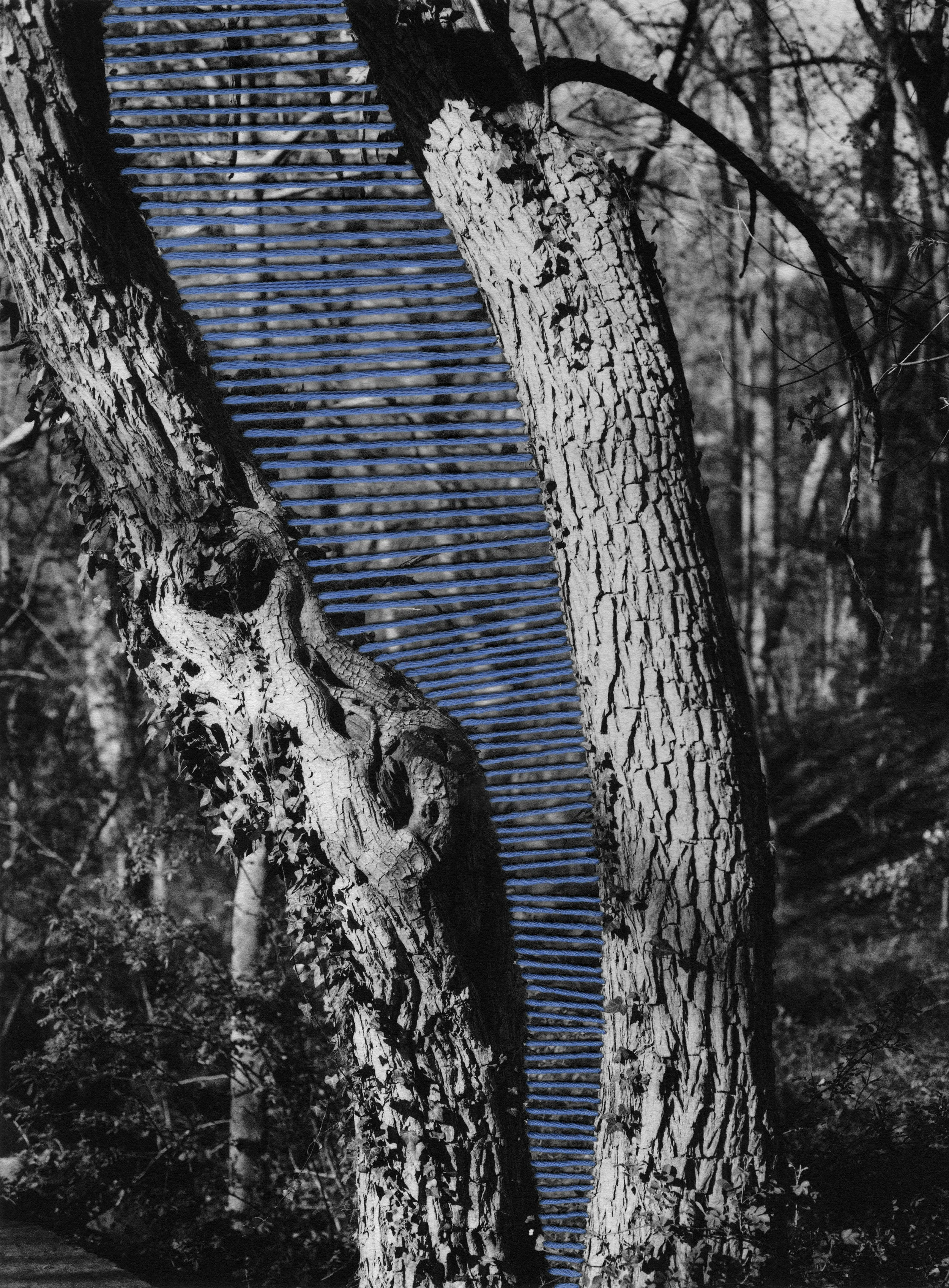 Artist book Inkjet print on fine art paper, thread 15" x 20" 2013