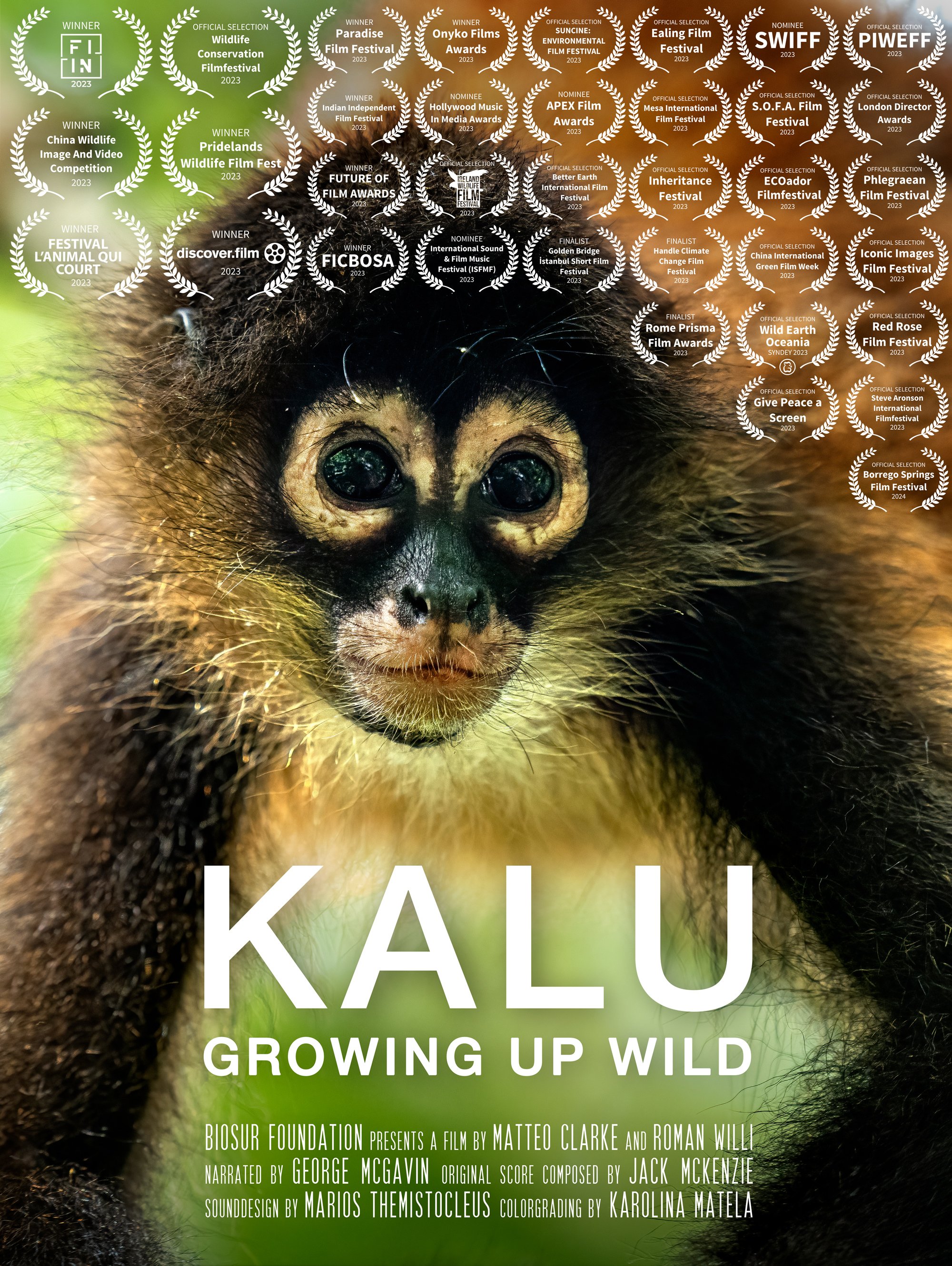 KALU_Filmposter.jpg