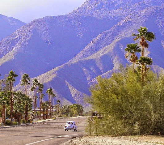 Jamie Reno Returns to Borrego Springs