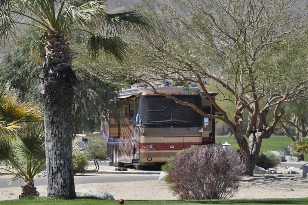 Luxury campground The Springs at Borrego has RV sites and lodging available, and is one of the highest rated private RV campgrounds in the nation.