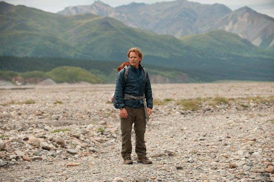 5Q's w/Frank Hall Green "Wildlike" Director