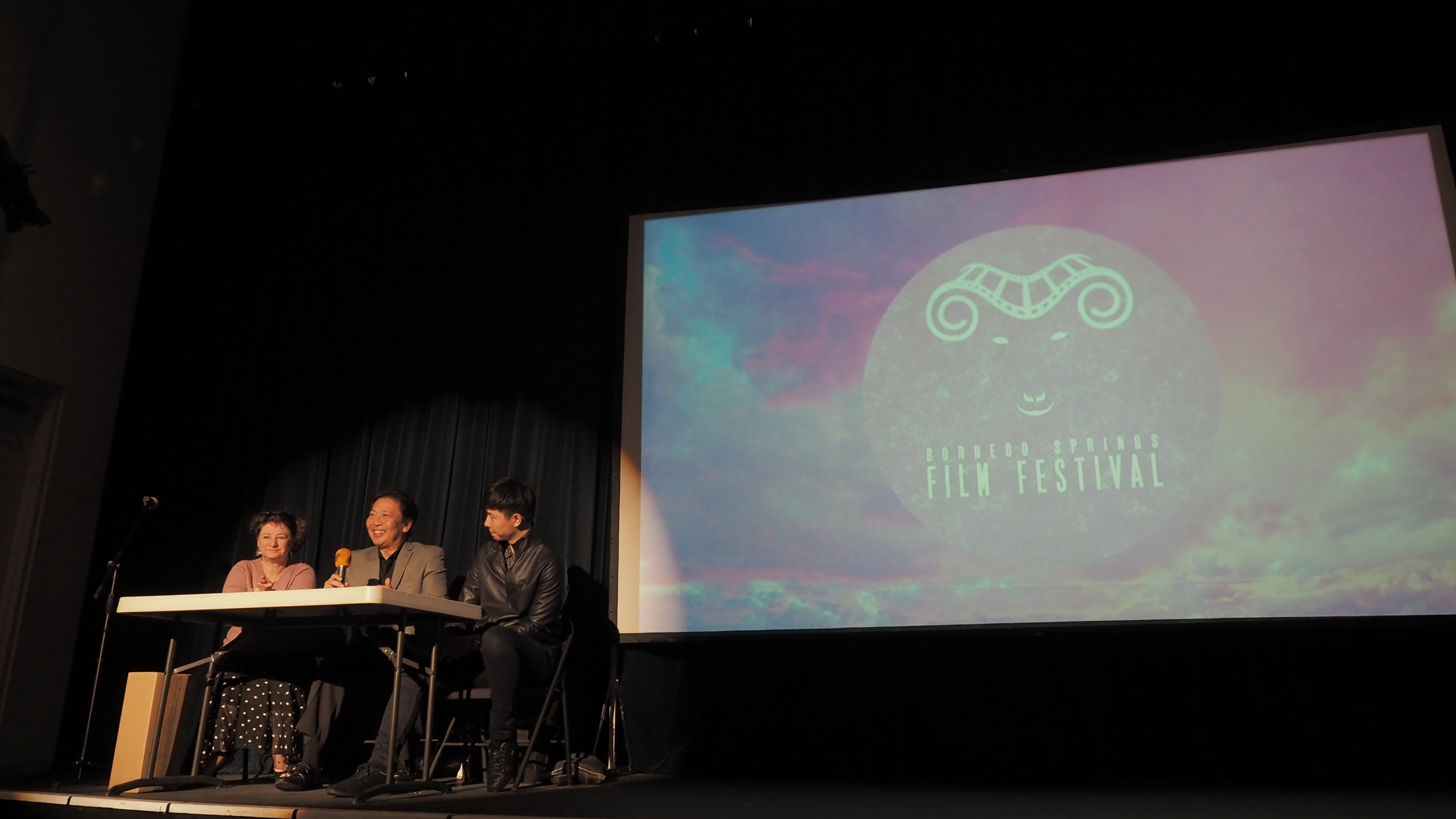 Film Panel "International Perspective"