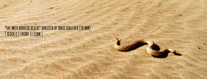 AB_FACEBOOKBANNER.jpg