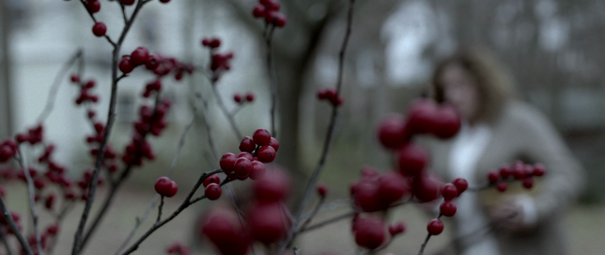 vlcsnap-2016-12-23-11h02m00s978.png