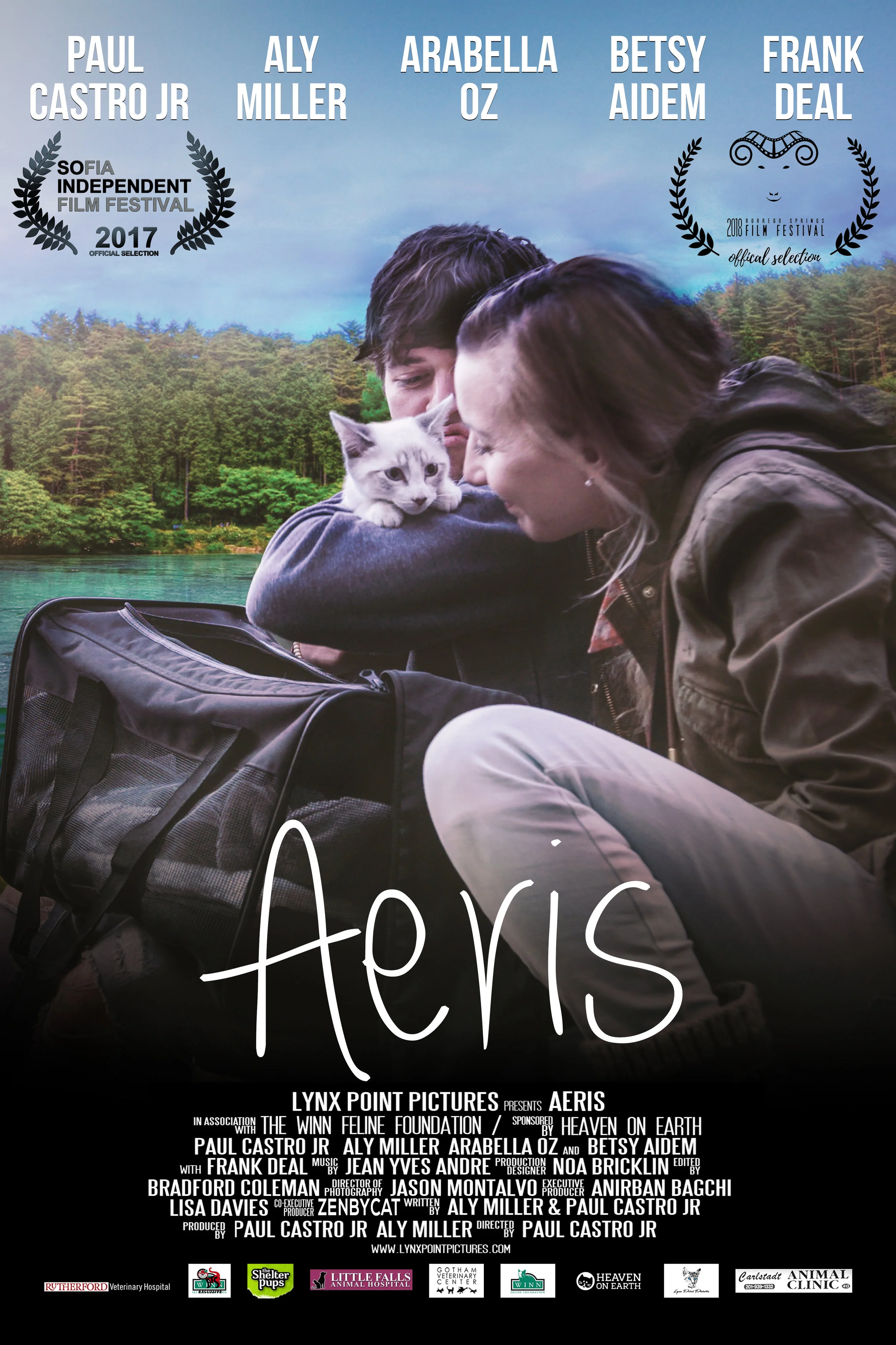 Aeris Poster HQ 11-4-17 Laurel.jpg