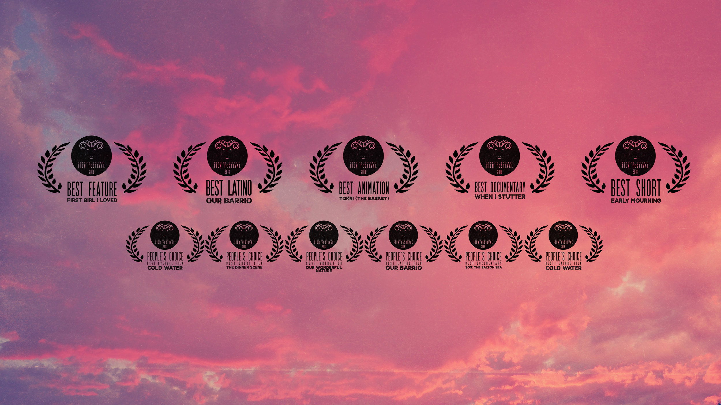 Borrego Springs Film Festival 2018 Winners!