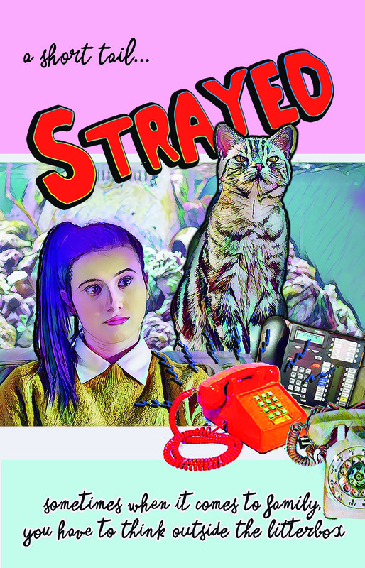 Poster strayed_onesheet_wphones_thumbnail.jpg