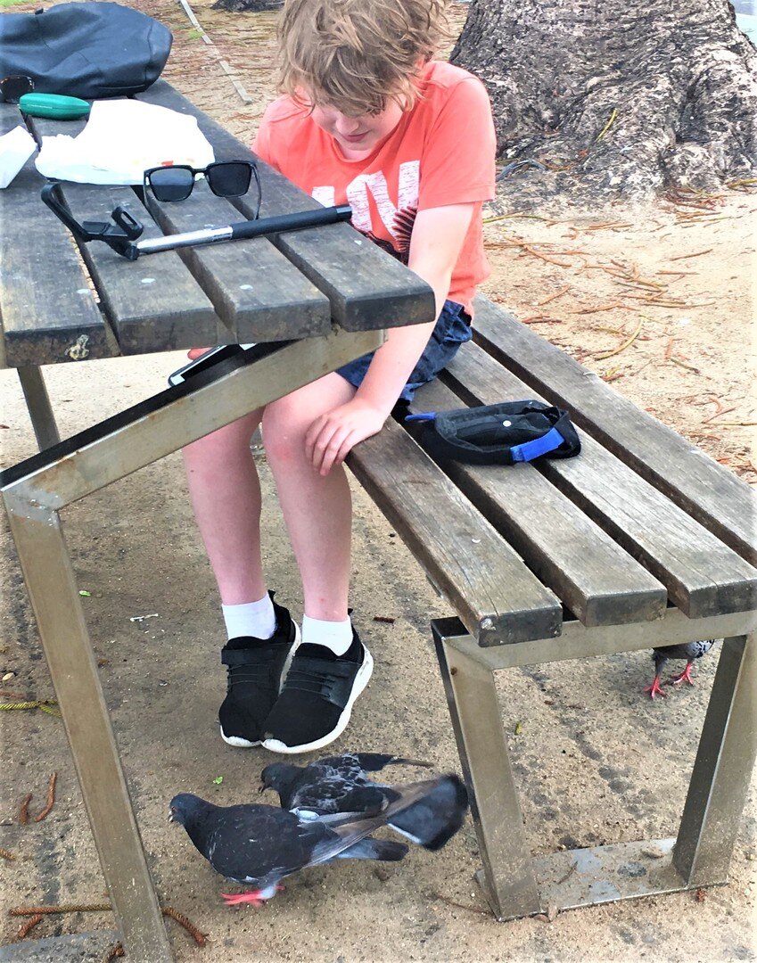 Photo 6 Pigeons_right_under_foot.jpg