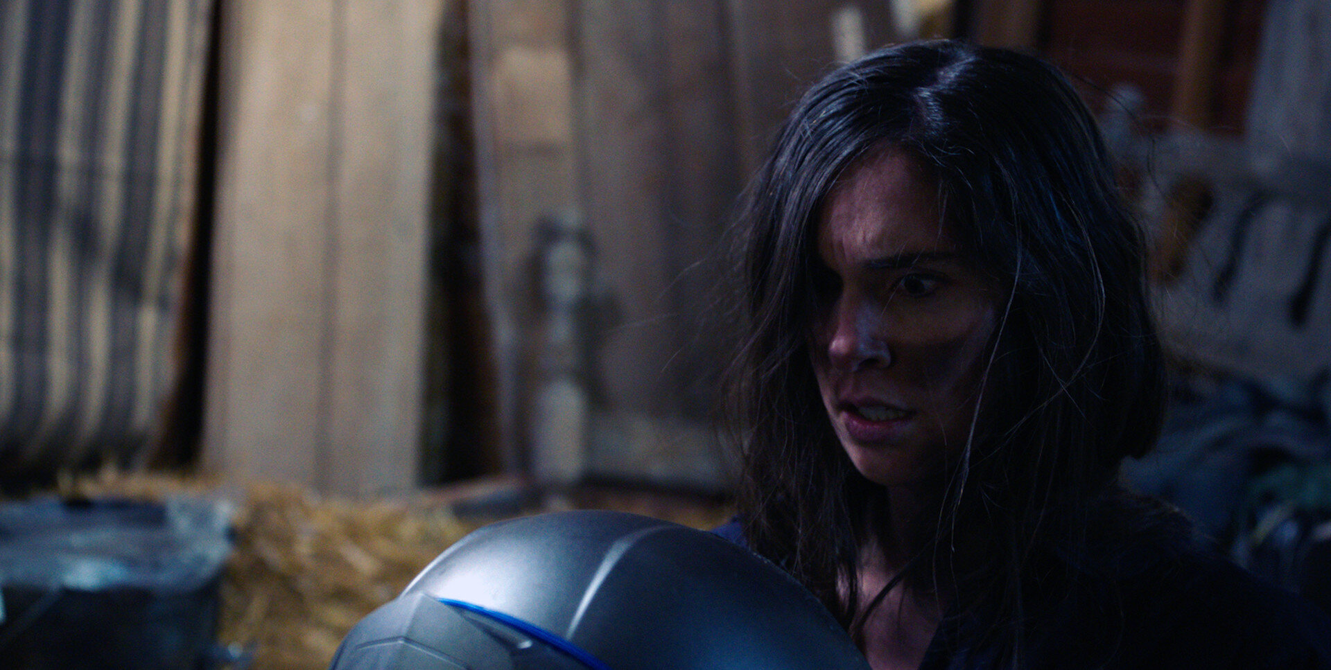 Photo 5 Bixby_stares_at_helmet.jpg