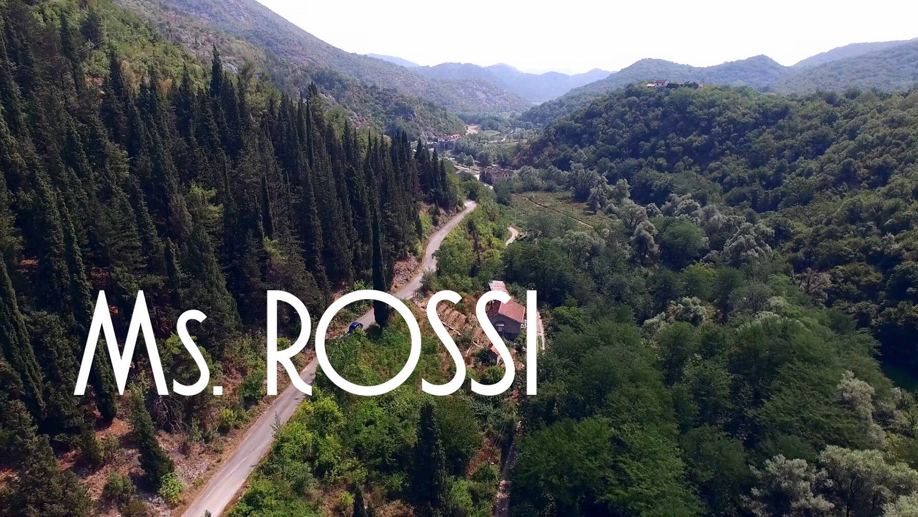 Photo 1 Ms._Rossi_Still.jpg