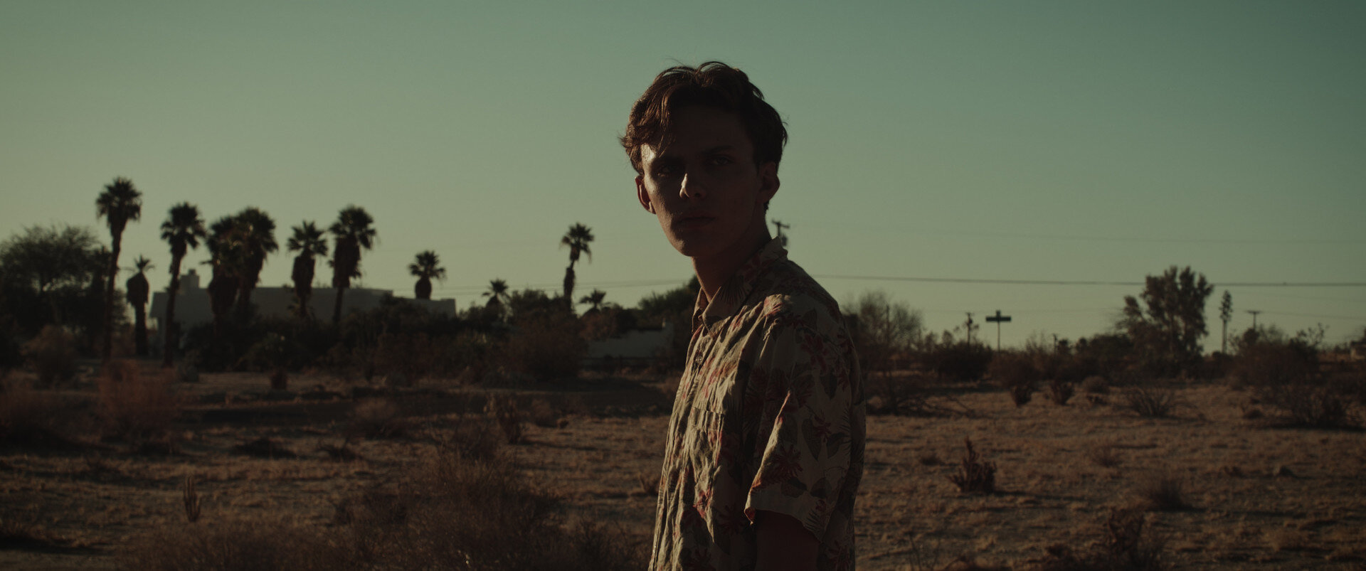 Photo 3 GRADED_STILL_10.jpg