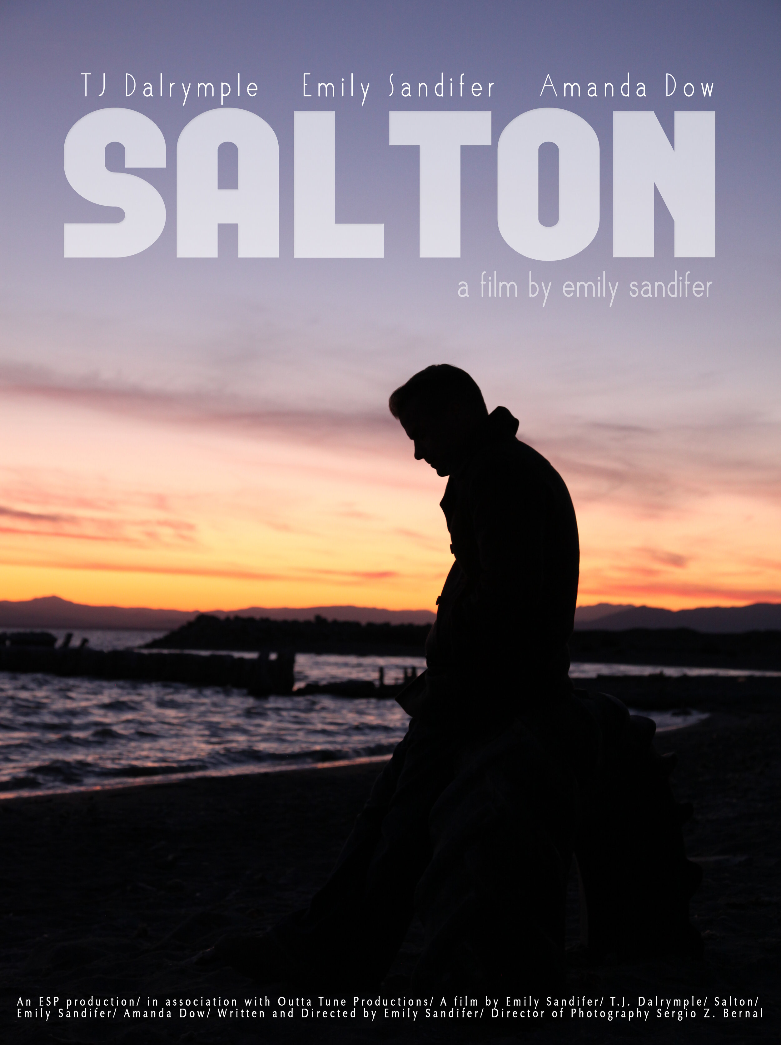 SALTON-POSTER.jpg