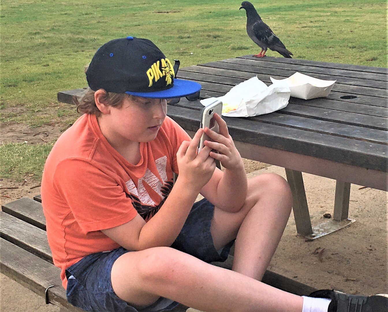 Pigeon_on_the_table.jpg