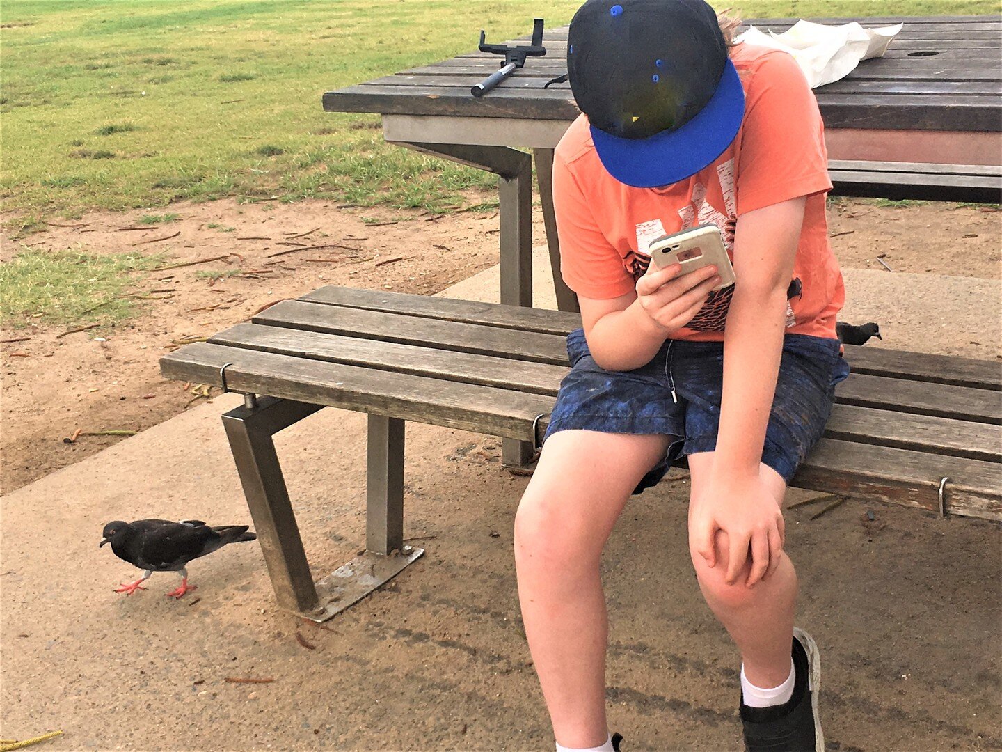 Pigeons_and_Caleb.jpg