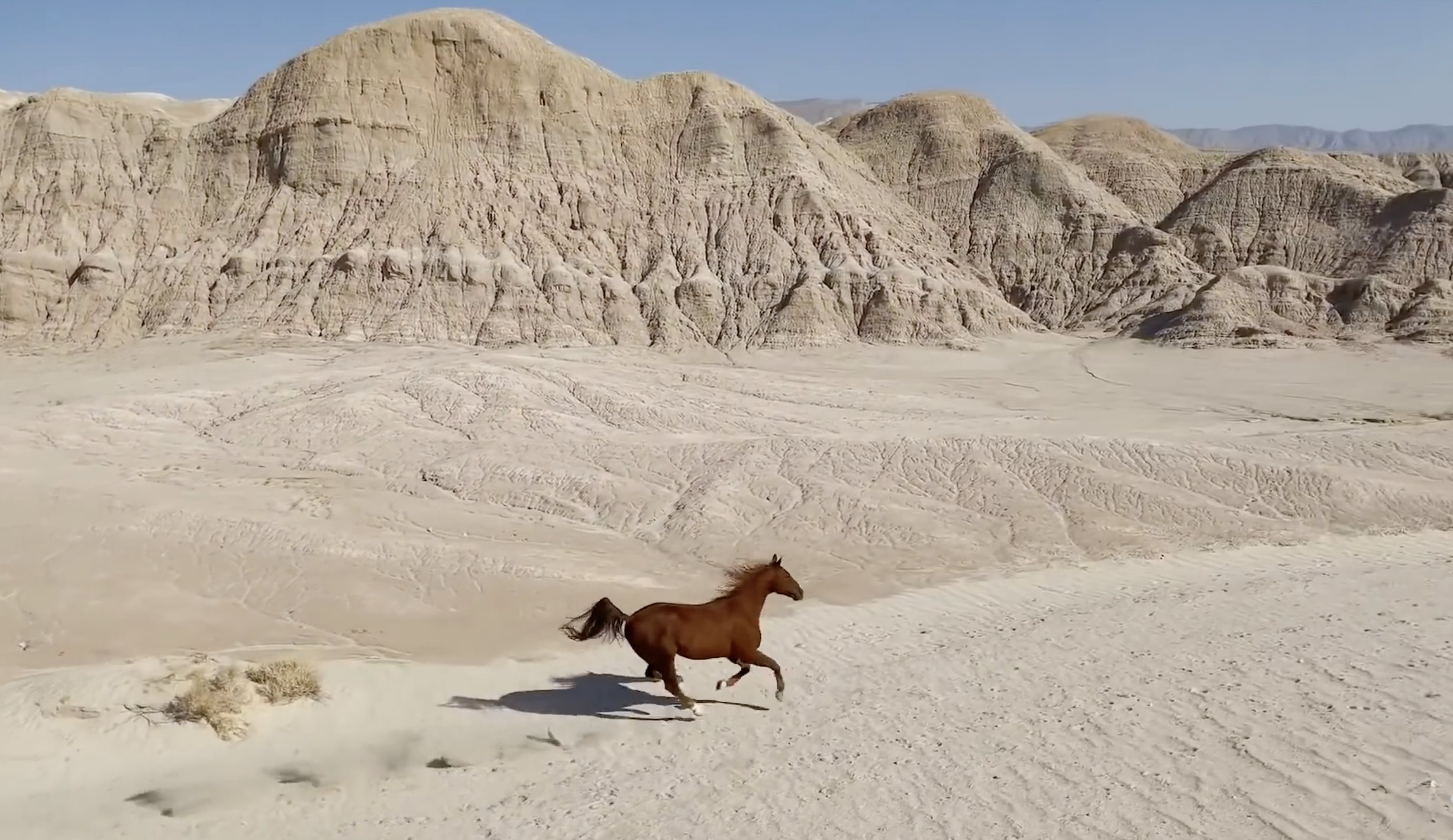 Future Cinematography