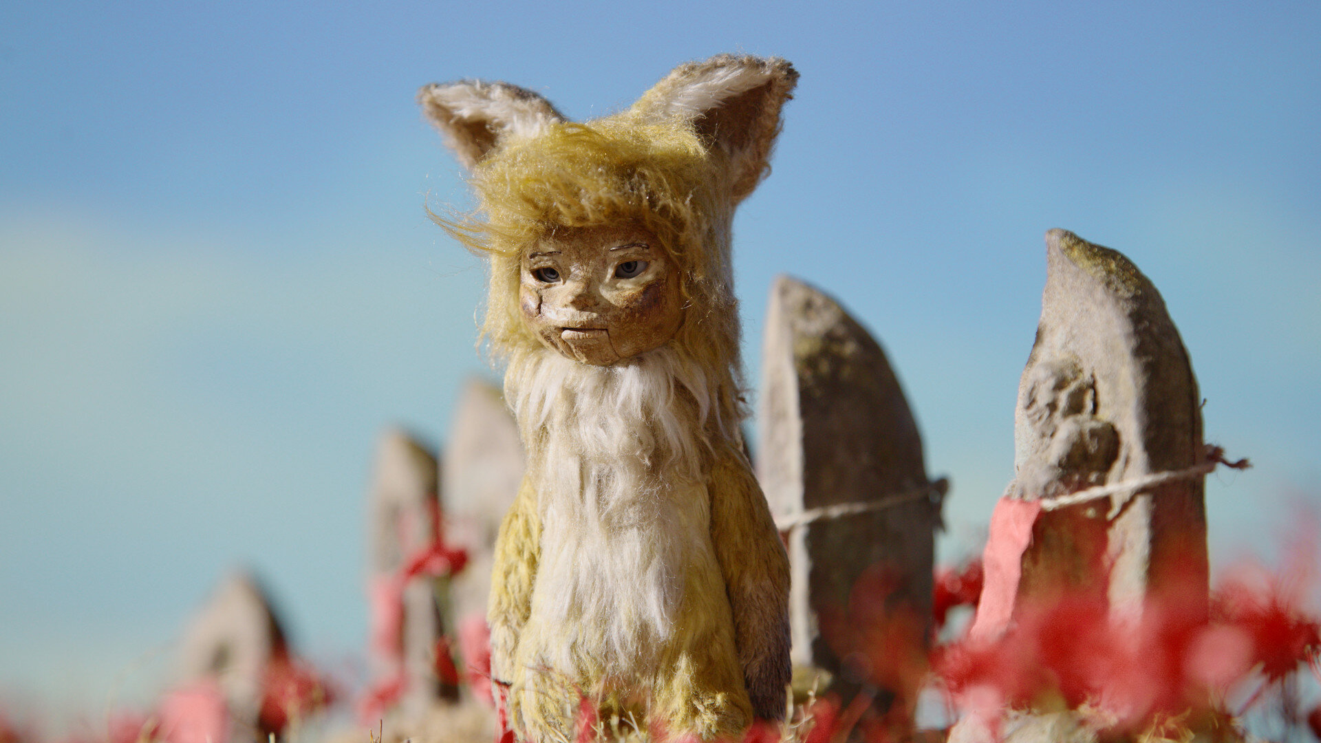 The 2021 Film Lineup!