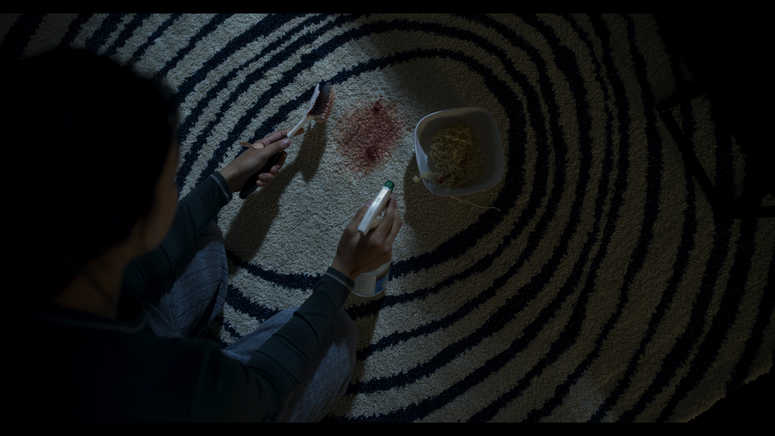 Carpet Overhead.jpg
