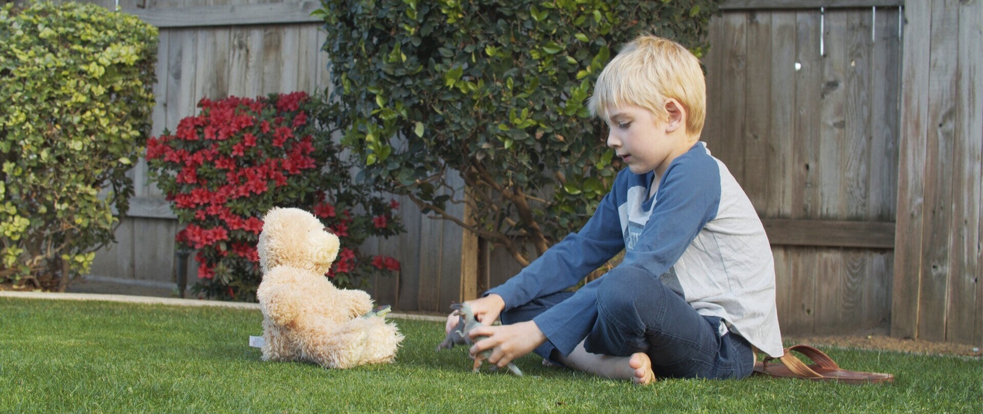 BUDDY BEAR | dir. Kevin Turner