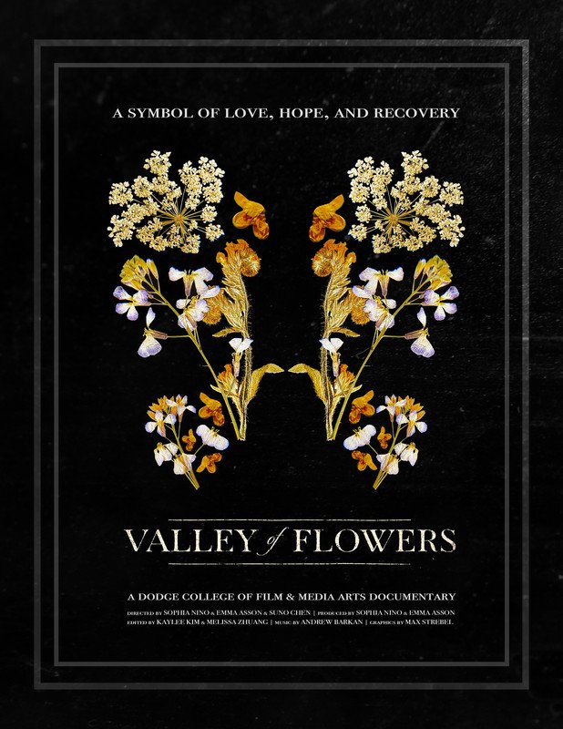 Valley of Flowers DOCUMENTARY.jpg