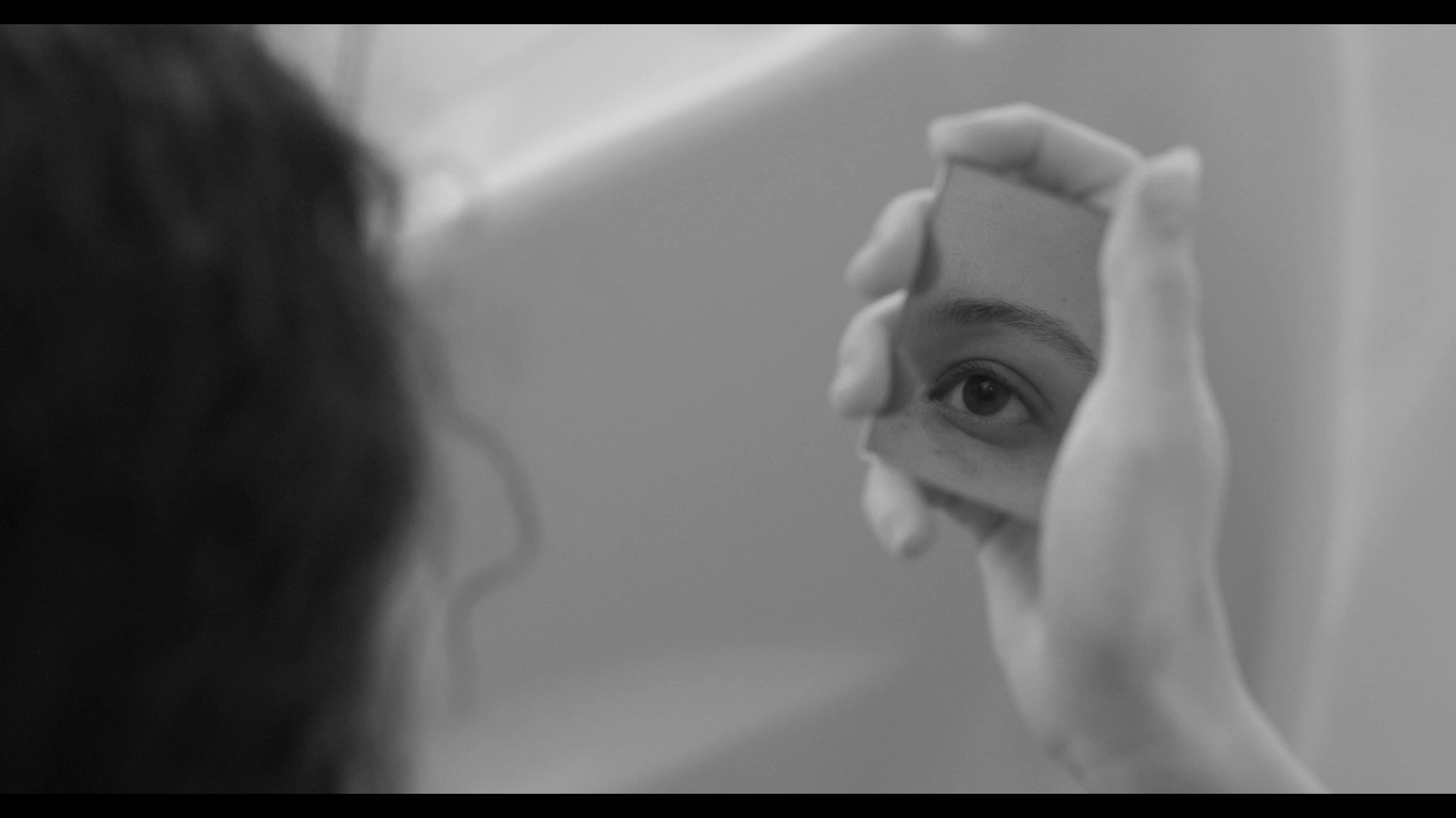 Photo 1 Beyond_the_Trees_Still_1.jpg