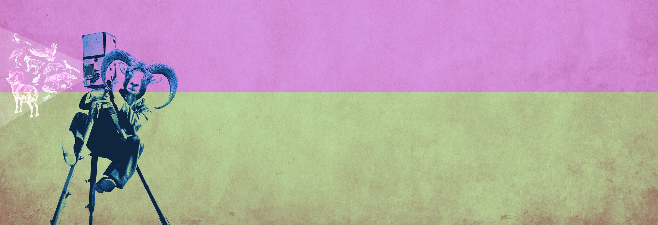 TOP_BANNER_BORREGO_SPRINGS_FILM_FESTIVAL_3.jpg