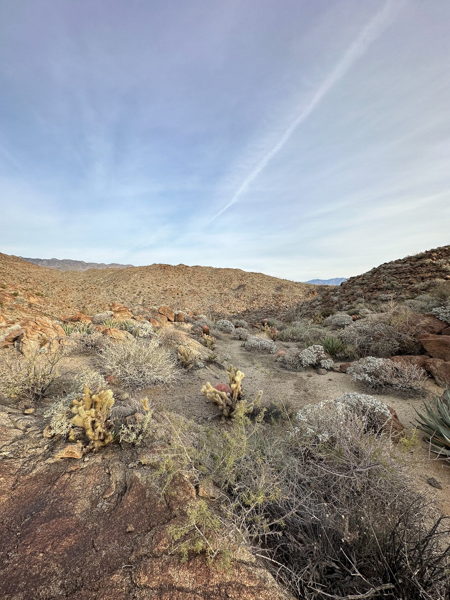 BORREGO_SPRINGS_FILM_FESTIVAL_2023_MCCREADY_015.jpg