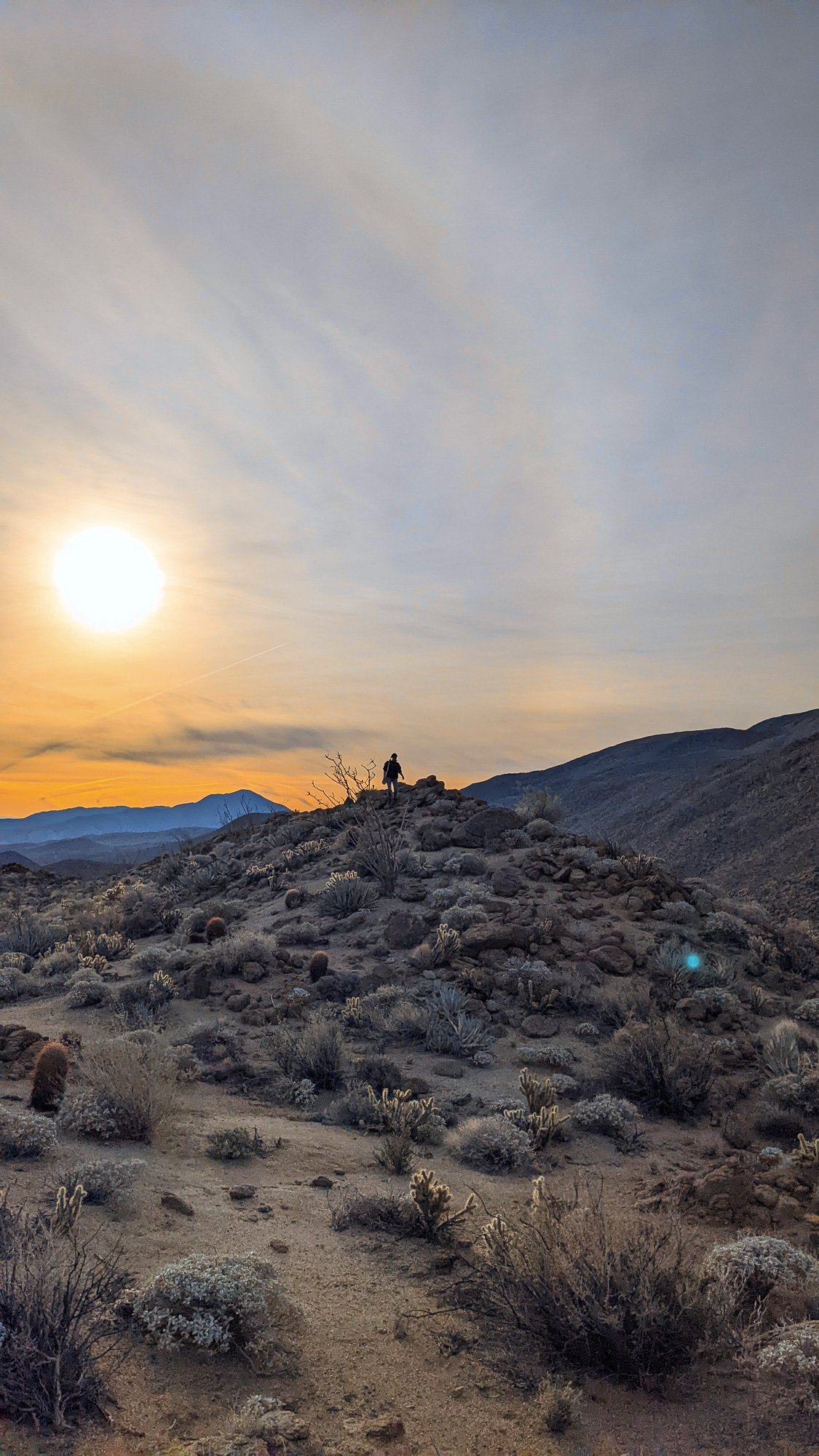 BORREGO_SPRINGS_FILM_FESTIVAL_2023_MCCREADY_020.jpg