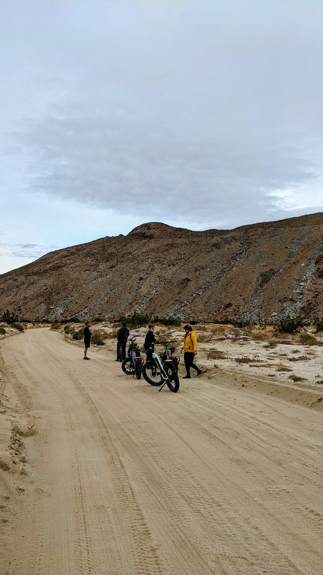 BORREGO_SPRINGS_FILM_FESTIVAL_2023_MCCREADY_027.jpg