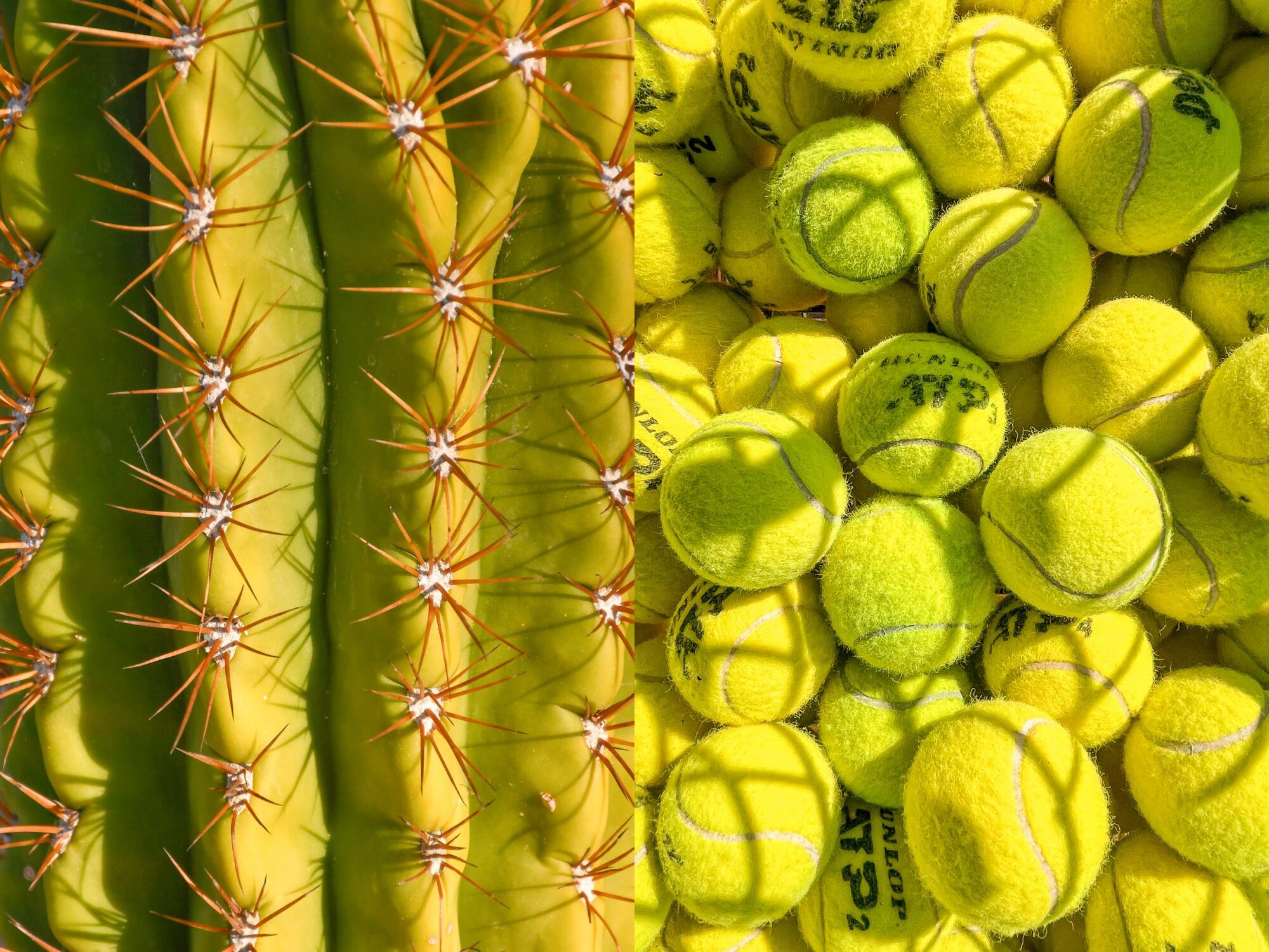 ball2.jpg