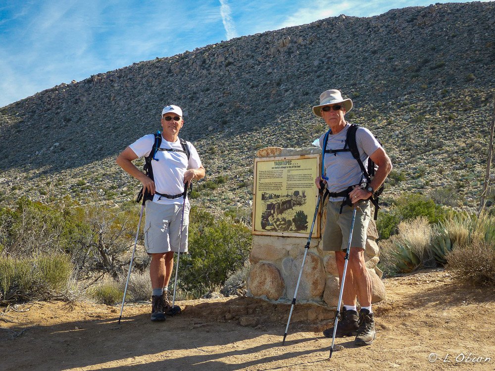 anza-borrego_150120-11608881.jpg