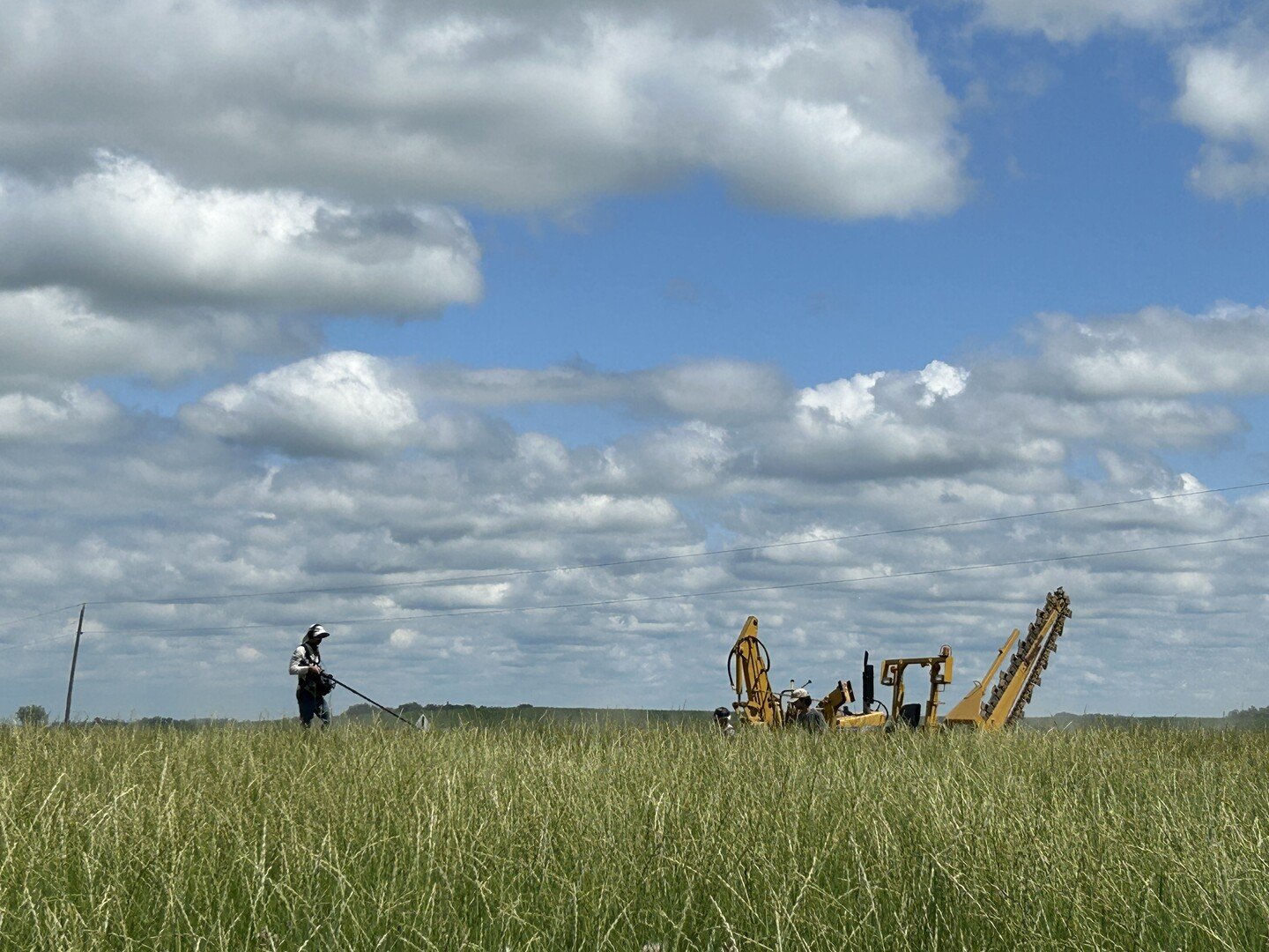 Photo 9 BTS_Kernza_field__filming_.jpg