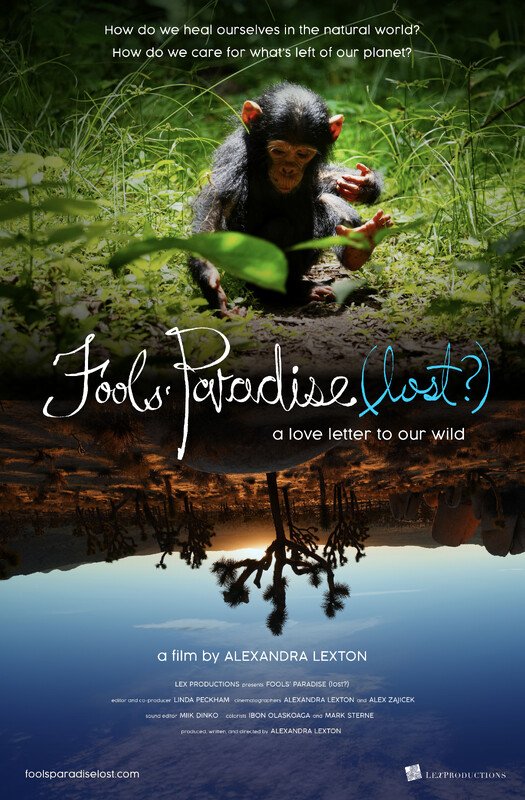 Poster 5591ce5d1d-poster.jpg