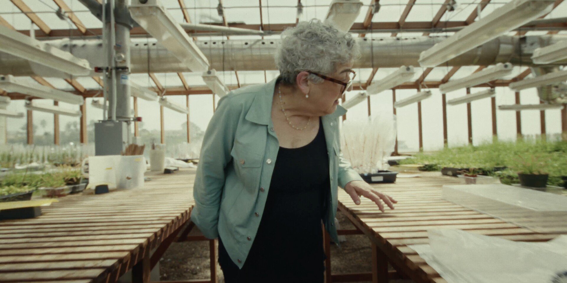 Photo 2 Plant_Life_-_Film_Still_03.jpg