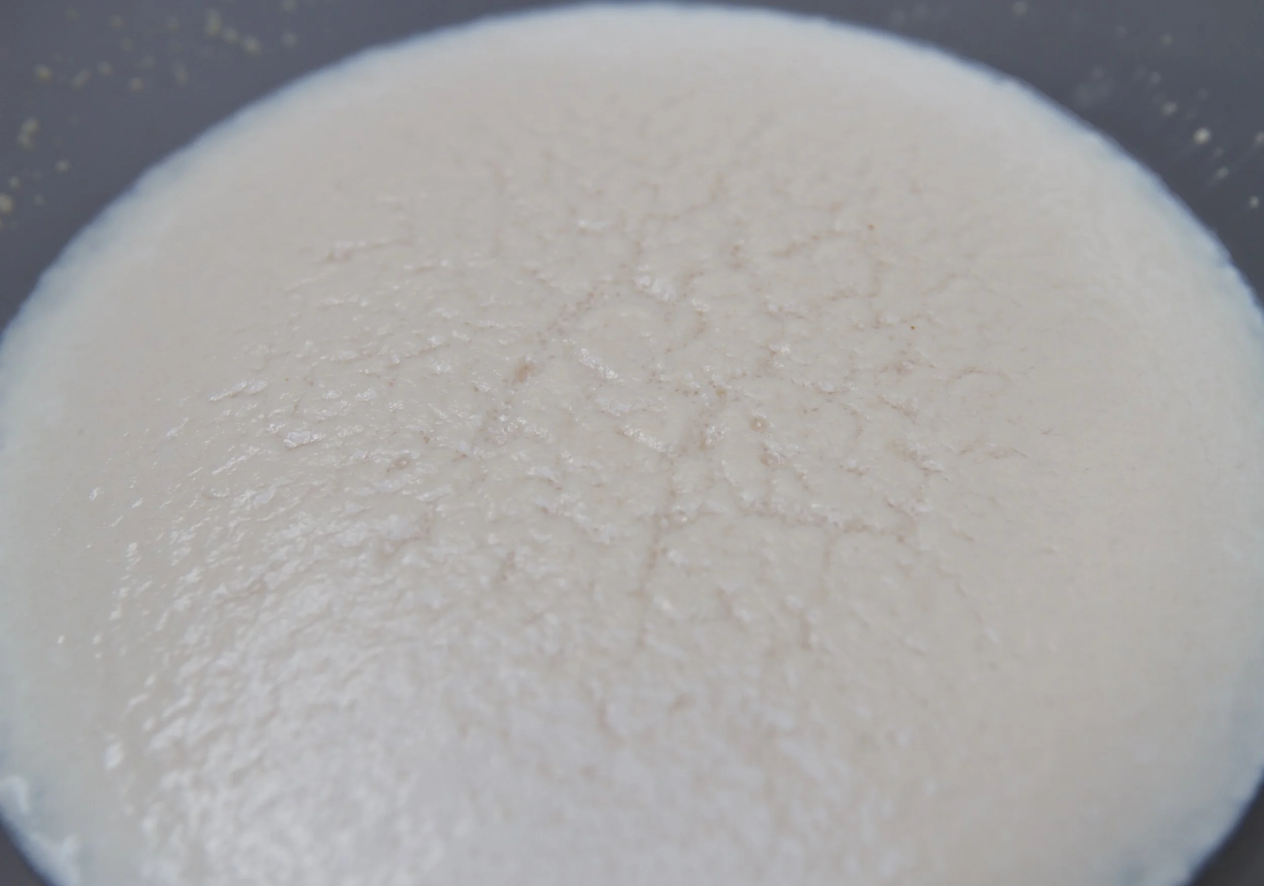 This is what your milk/yeast mixture should look like after it sits for 10 minutes