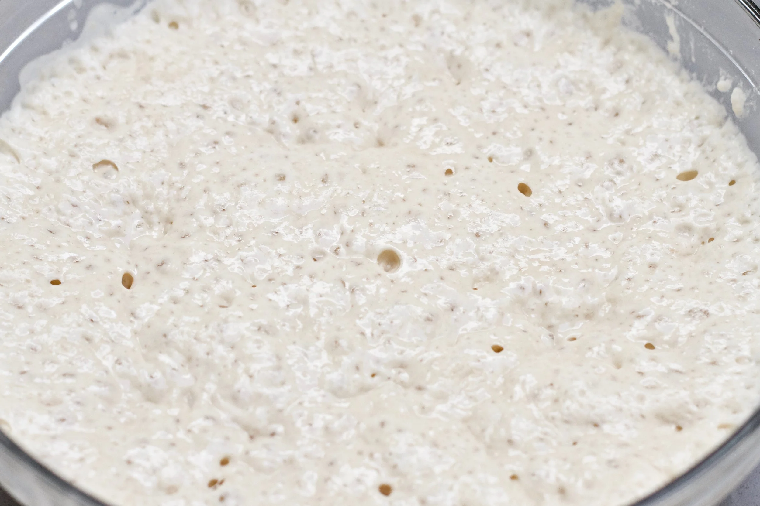 This is what your poolish should look like after 10 hours