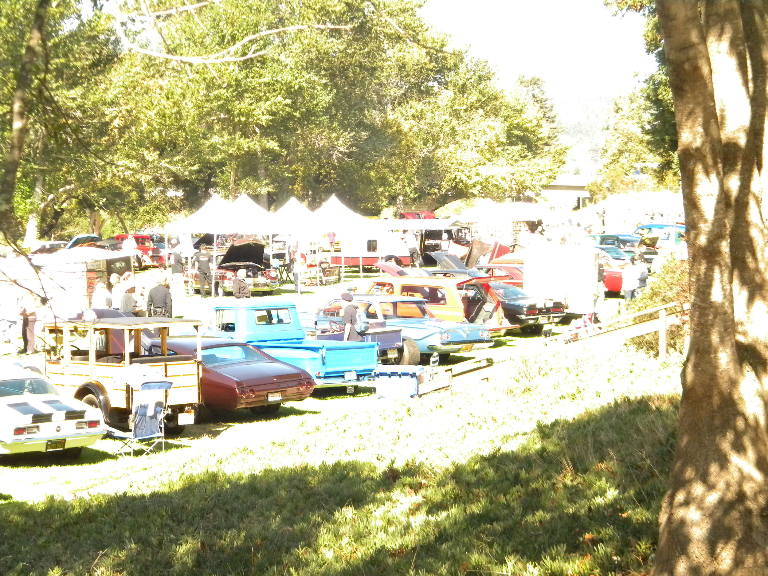 DSCN1950.JPG
