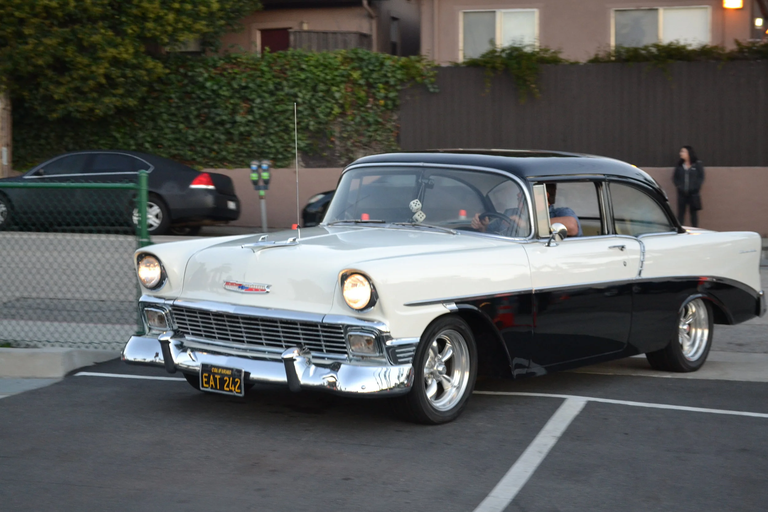 DSC_0046.JPG