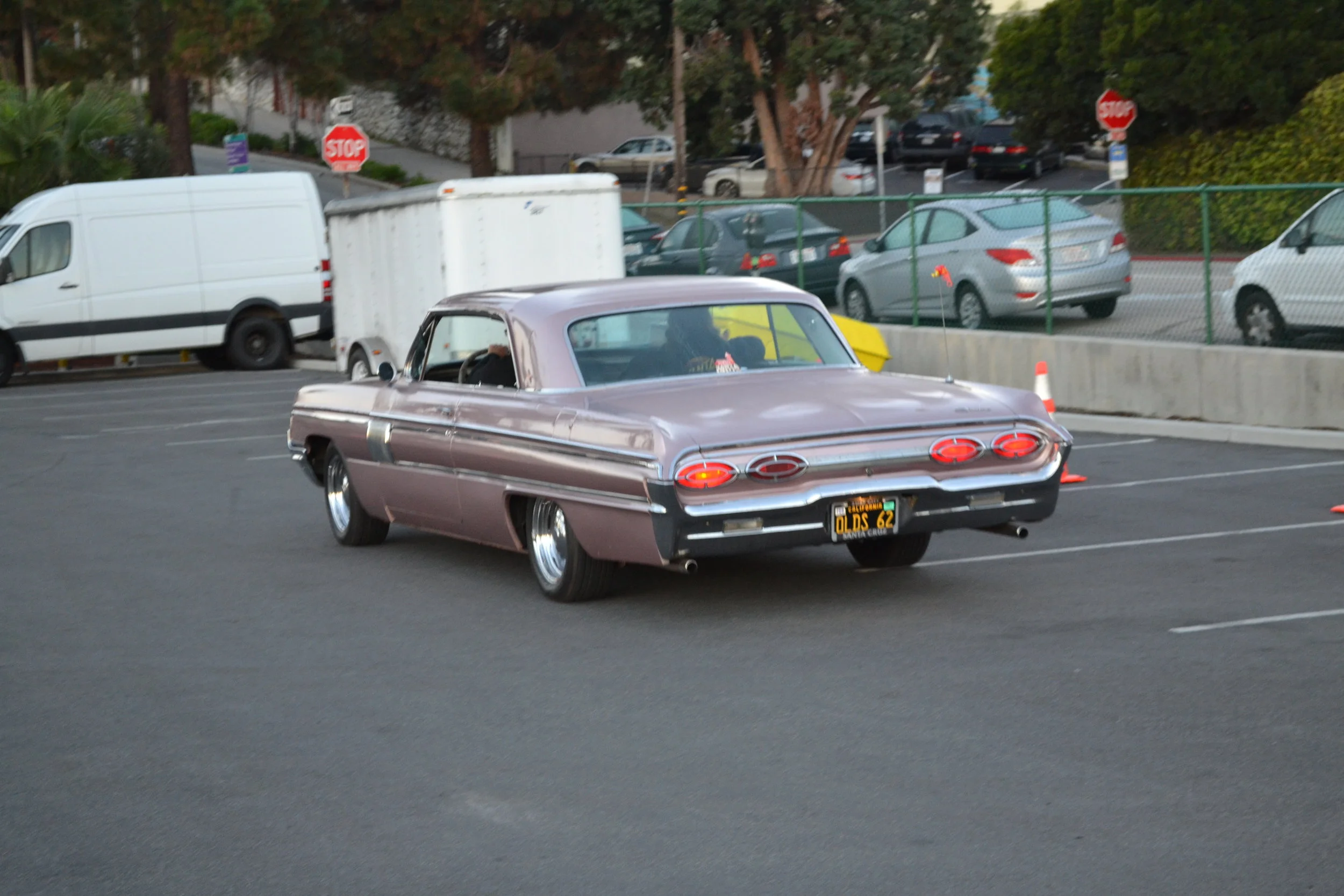 DSC_0054.JPG