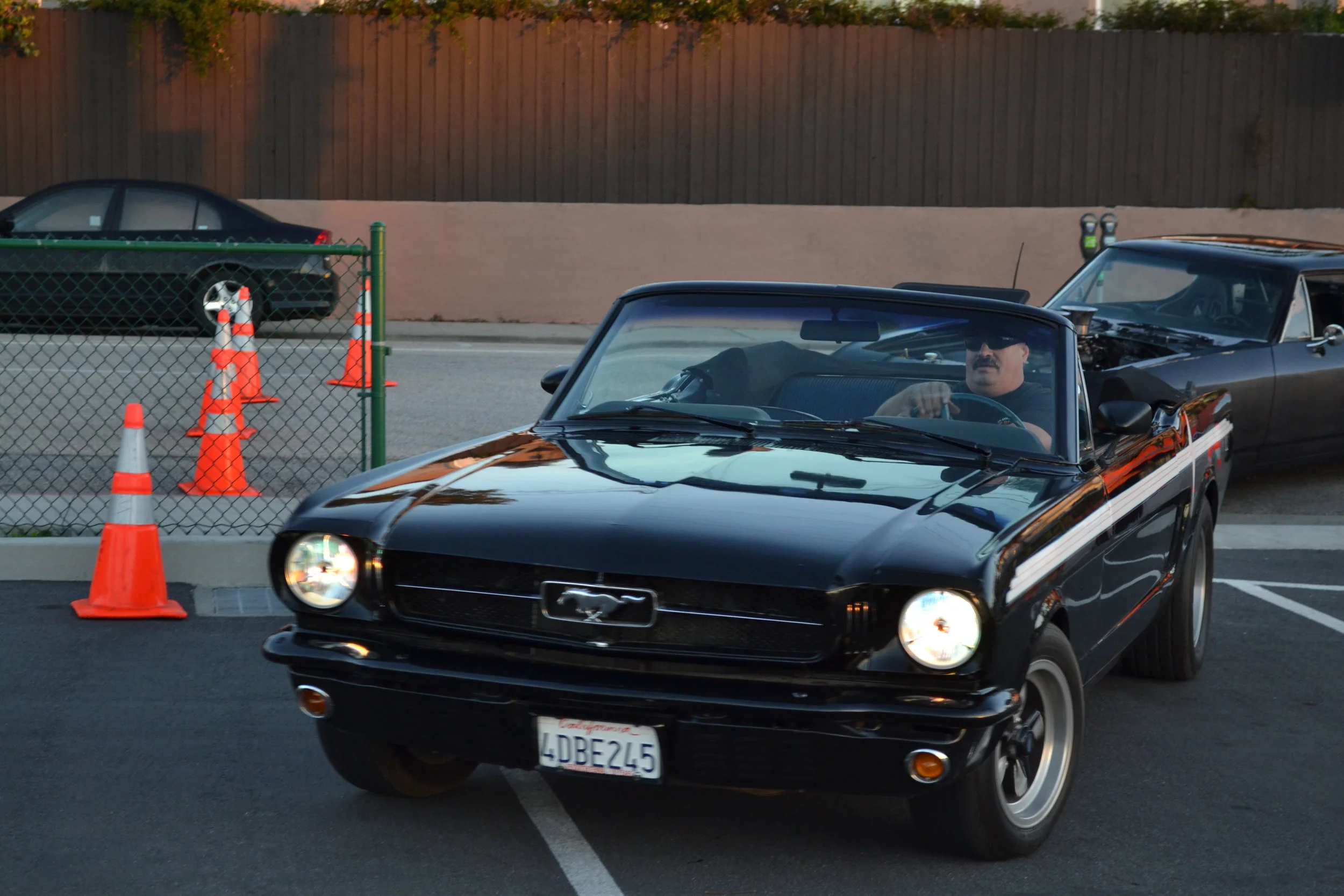 DSC_0073.JPG