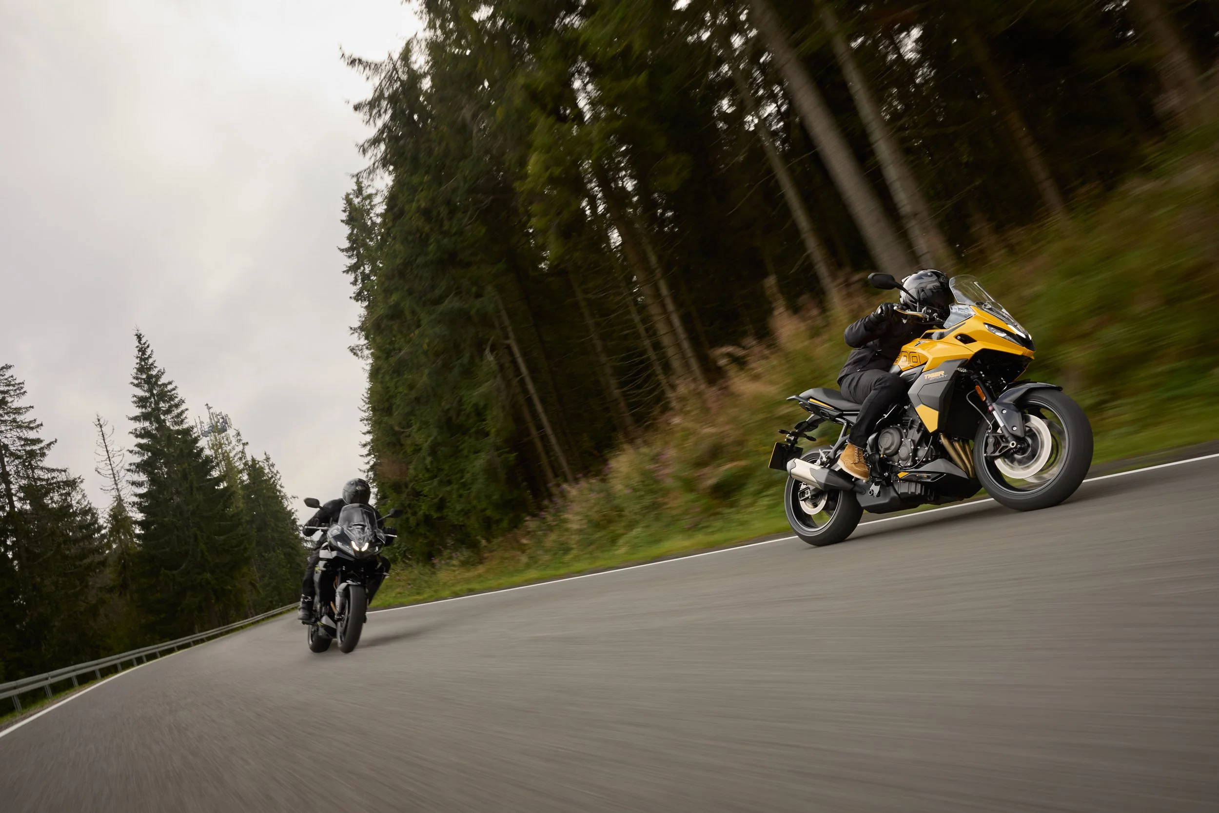 FAM_TigerSport800_MY25_04093_JP.jpg