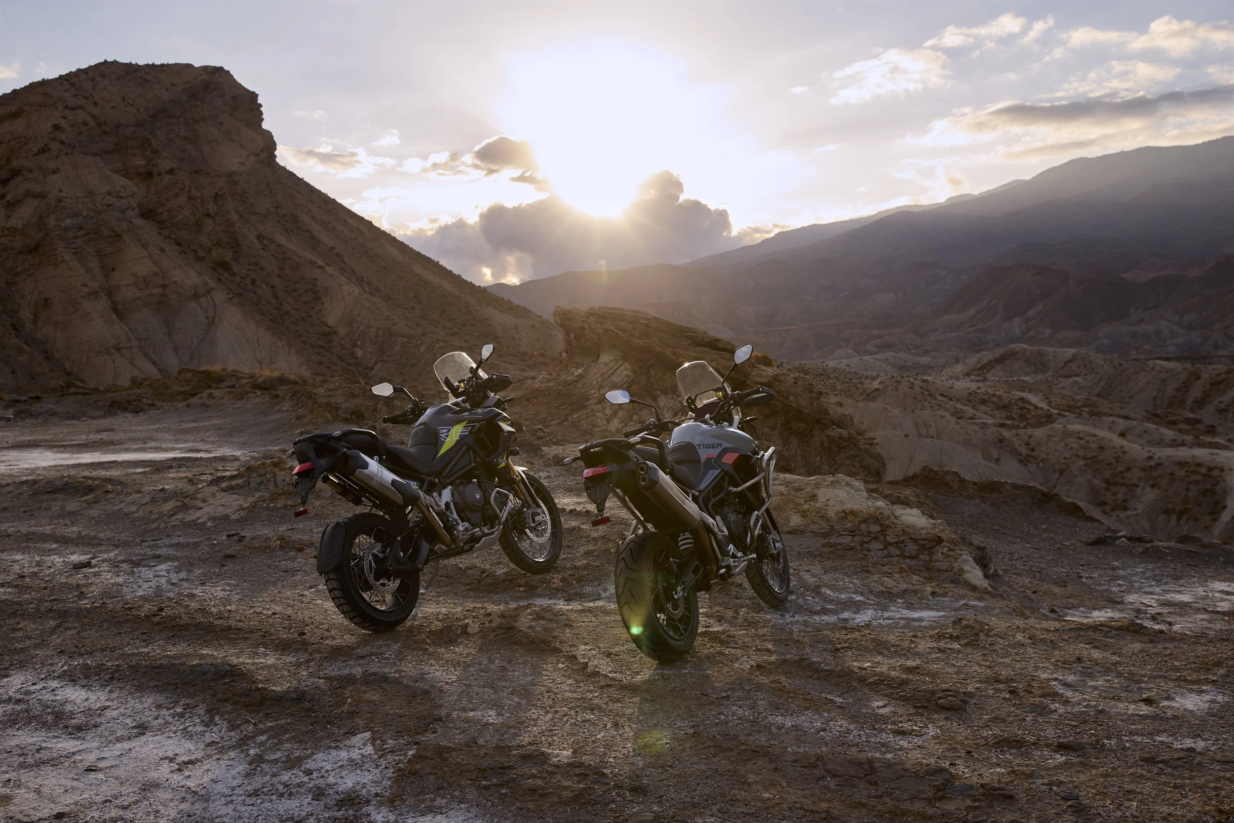 Family_Tiger_Desert_Edition_MY26_CW4I0779_GE.jpg