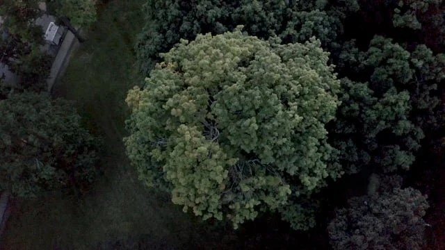 _1_CH-FINAL_NOS_2018_MUSIC-190313_8-38AM