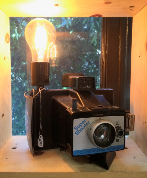 File May 05, 9 01 33 PM.jpeg