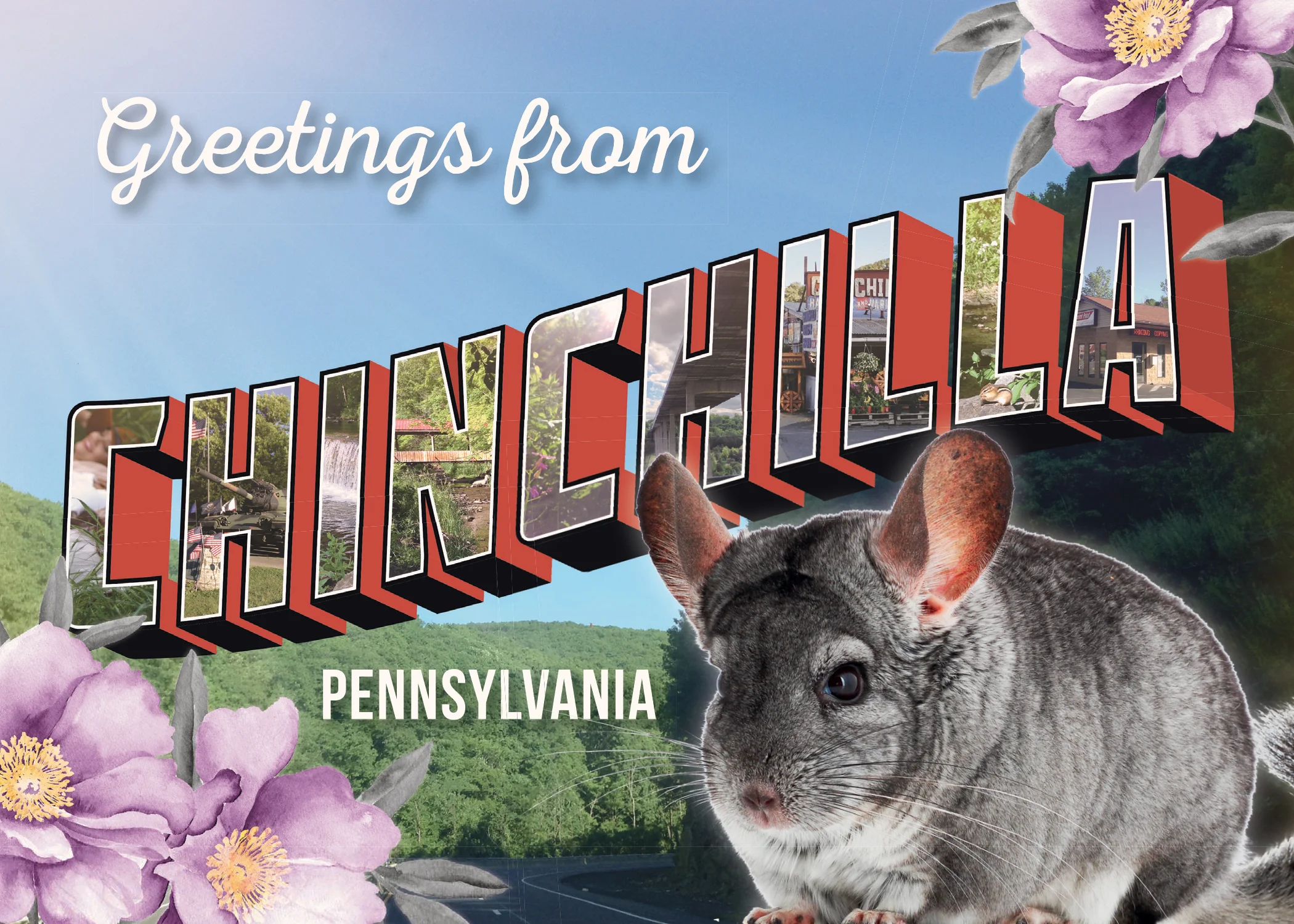 Chinchilla PC-1.jpg